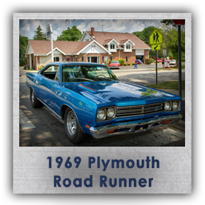 road runner